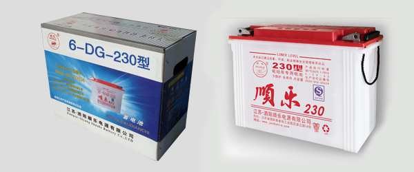 管狀電動(dòng)三輪車專用230